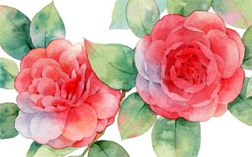 摩羯男會故意讓你懷孕 摩羯男眼中廉價的女人