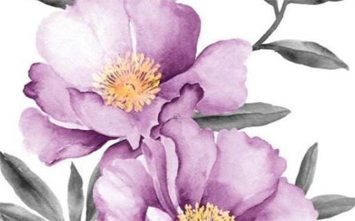 生肖兔適合養(yǎng)狗嗎？，屬兔子適合養(yǎng)狗嗎