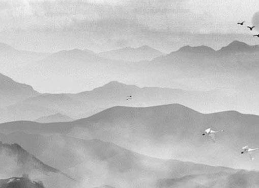 廈門小吃排名榜 廈門好吃小吃 廈門小吃排名榜 廈門好吃小吃