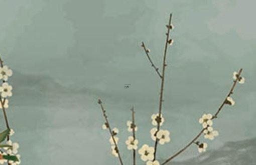 小烏龜冬眠應該怎么養 小烏龜冬眠注意事項 小烏龜冬眠應該怎么養 小烏龜冬眠注意事項