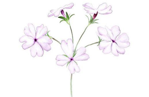 送個八字大家猜是什么意思 給看八字的錢叫什么 送個八字大家猜是什么意思 給看八字的錢叫什么