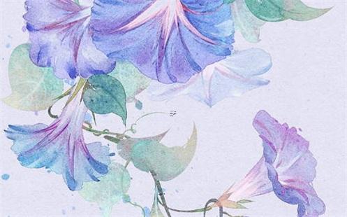 耗特在八字是什么意思 耗是啥意思 耗特在八字是什么意思 耗是啥意思