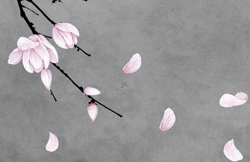 1988屬龍幾歲有桃花運(yùn) 1988年屬龍?zhí)一ㄟ\(yùn)怎么樣 1988屬龍幾歲有桃花運(yùn) 1988年屬龍?zhí)一ㄟ\(yùn)怎么樣