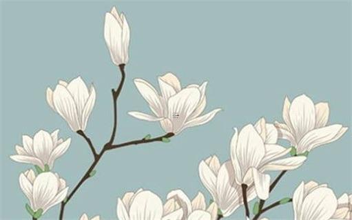 1993年30歲是幾幾年,1993年31歲 1993年30歲是幾幾年,1993年31歲