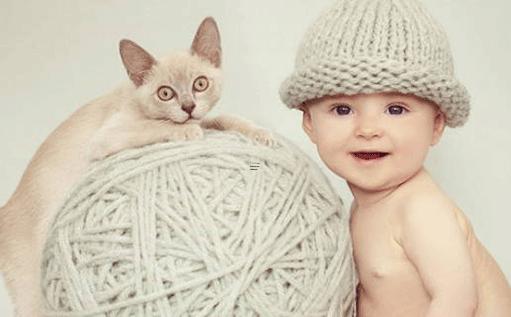 超級好聽的寵物名字大全 很好聽的寵物名字 超級好聽的寵物名字大全 很好聽的寵物名字