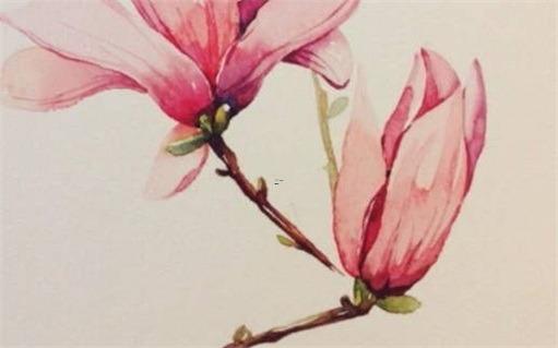 屬蛇的幸運(yùn)號(hào)碼