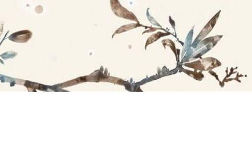 屬兔本命年送兒童什么禮物好呢,屬兔的本命年可以生寶寶嗎