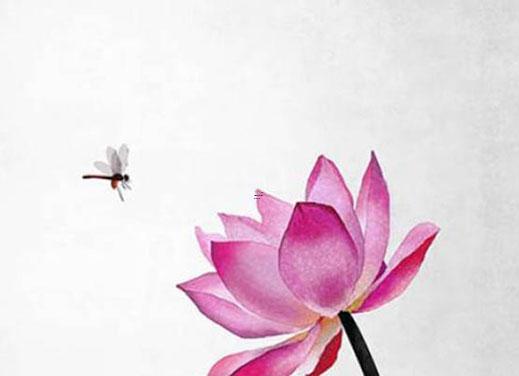 屬虎跟屬羊的合不合財 屬虎和屬羊和嗎 屬虎跟屬羊的合不合財 屬虎和屬羊和嗎