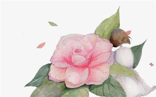 2003年五行屬什么 2003年羊五行屬什么