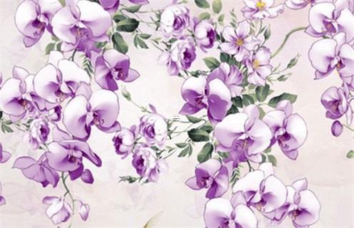 為什么屬雞會喜歡屬龍的人 屬雞喜歡屬龍還是屬猴 為什么屬雞會喜歡屬龍的人 屬雞喜歡屬龍還是屬猴