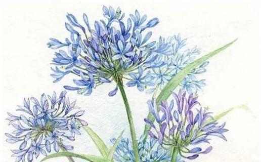 改名真的有那么神奇嗎 改名真的好嗎 改名真的有那么神奇嗎 改名真的好嗎