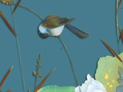 本命年屬豬佩戴兔羊好嗎,屬豬本命年佩戴什么好