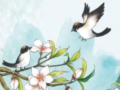 四柱八字舉例推算十神 四柱十神推斷簡(jiǎn)表