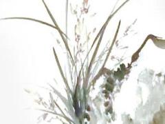 八字里壬辰日五行屬什么 壬辰日五行屬什么百科