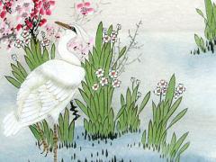 什么八字不能吃蝦 什么樣的八字不能吃牛肉