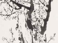 去魚尾紋的方法 去魚尾紋方法哪種好