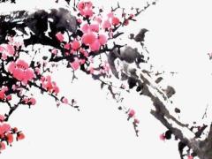 八字太旺什么意思 八字太旺是命硬嗎