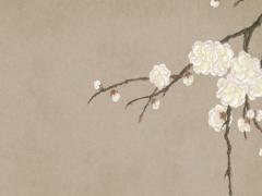 明年就是生肖兔的本命年了吧,明年屬兔的是什么命