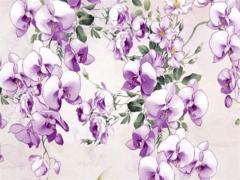 為什么屬雞會(huì)喜歡屬龍的人 屬雞喜歡屬龍還是屬猴