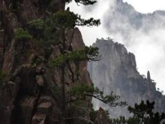 免費(fèi)測算愛情配對 愛情匹配測試免費(fèi)