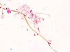 四柱和八字哪個準一點 生辰八字和四柱