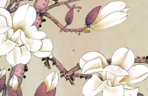 本命年紅繩哪個(gè)牌子好,本命年紅繩哪里有賣的