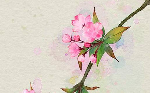 馬犬好聽的名字大全