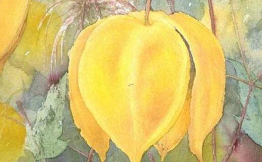 好聽的婚慶名字 好聽的婚慶名字