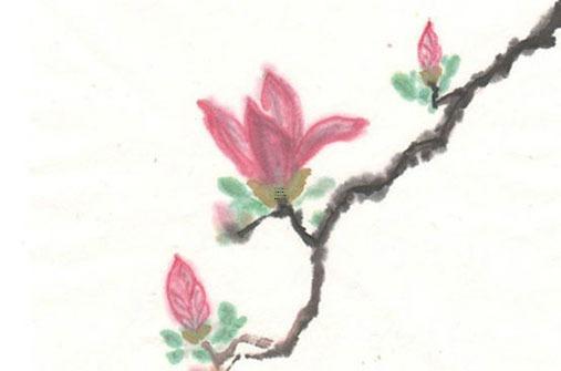 48歲本命年的鼠今年命運(yùn)如何,48歲今年本命年運(yùn)氣好嗎？