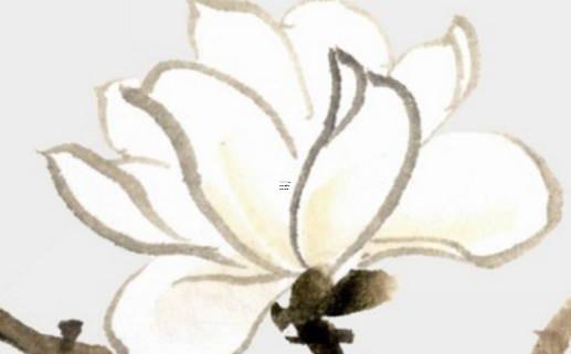 八字弱是不是會虛胖 八字弱是不是發不了財