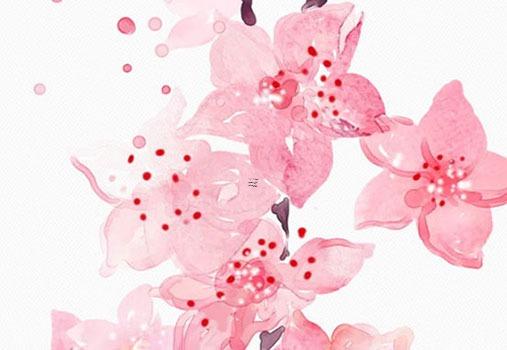 八字弱金弱土營養什么 八字金弱從事什么行業