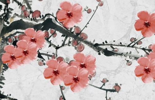 屬兔本命年可以養(yǎng)狗嗎女性,屬兔本命年可以養(yǎng)狗嗎女性運(yùn)勢