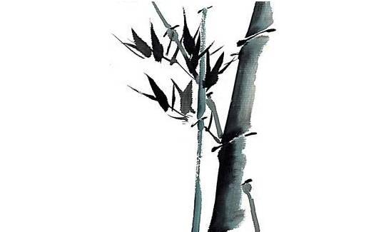 女人嘴大好不好看 女生嘴大好不好看 女人嘴大好不好看 女生嘴大好不好看