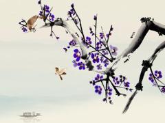 把姓名八字放灶里燒 寫(xiě)著名字生辰八字燒掉