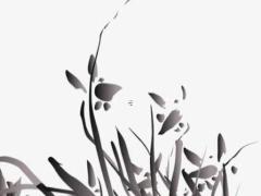 雙子座二零二零年運勢,2921年雙子座運勢