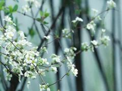 油皮粉底液好用排行榜 油皮公認最好用的粉底液