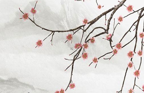 1988屬龍女人財運 1988年屬龍女一生運勢 1988屬龍女人財運 1988年屬龍女一生運勢