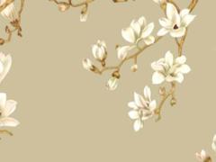 算命說(shuō)有華蓋啥意思 算命有華蓋什么意思