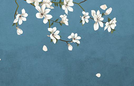 1963屬兔的本命年應(yīng)該注意什么,1963年本命年