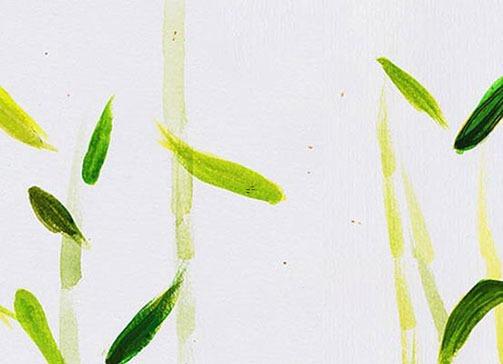 處女座的一生運(yùn)勢 處女座一生的運(yùn)氣