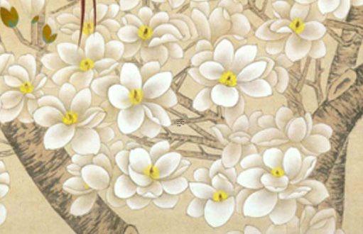 屬兔人本命年帶什么水晶招財,屬兔人本命年帶什么水晶招財運
