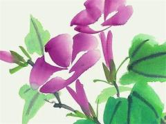 算姻緣準(zhǔn)不準(zhǔn) 算姻緣算的準(zhǔn)嗎