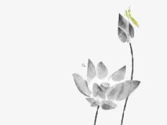 98年10月份的虎是什么命 98年10月的虎怎么樣