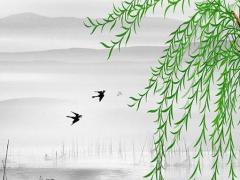 虎年年份表對應歲數(shù) 虎年年齡對照表