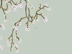 生肖龍今日運(yùn)勢查詢一 生肖龍今曰運(yùn)勢