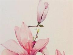 雞年虎人運(yùn)勢(shì)如何 屬雞人虎年運(yùn)勢(shì)怎么樣