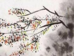 生肖雞運(yùn)勢(shì)2024年運(yùn)勢(shì)大全每月,屬雞2024年運(yùn)程