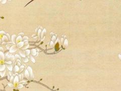 紫微斗數華易 紫微斗數