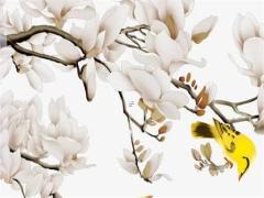 桃花源記原來(lái)這么污 桃花源記其實(shí)很污奇聞
