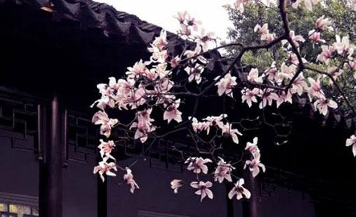 八字中土多好不好 八字土多的害處
